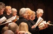 Concert 7